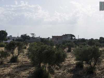 ...e poco pi� avanti l�antica masseria Arbinetto, che indisturbata giace immersa da secoli nel verde
